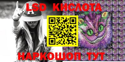 шишки Сланцы