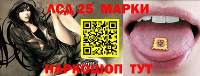 шишки Сланцы